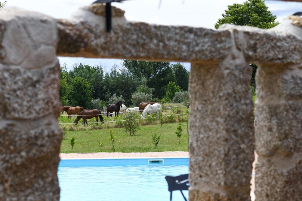 Maison d'hôtes Quinta Lusitânia à Santa Comba Dao Extérieur photo